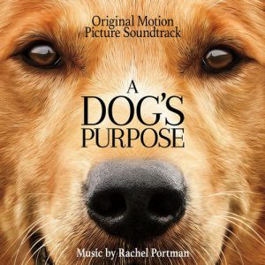 A Dogs Purpose