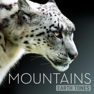 Moutains