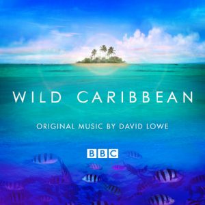 Wild Caribbean