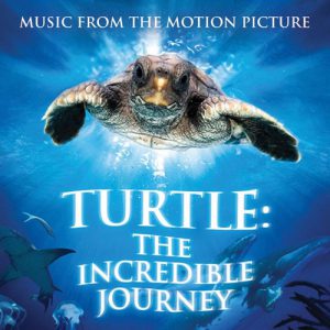 Turtle- The Incredible Journey