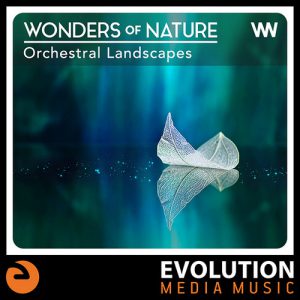 Wonders Of Nature