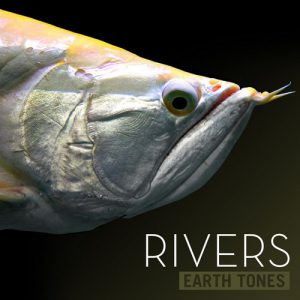 Rivers