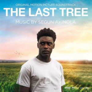 The Last Tree