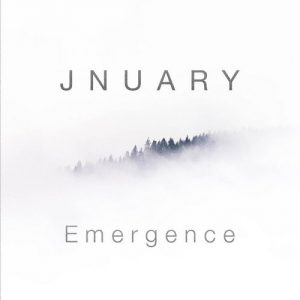 Emergence
