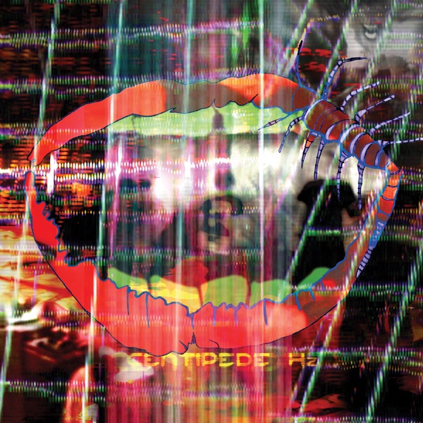 فول آلبوم گروه انیمال کالکتیو (Animal Collective) - تصویر 1