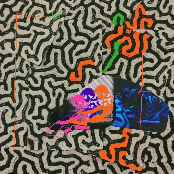 فول آلبوم گروه انیمال کالکتیو (Animal Collective) - تصویر 3