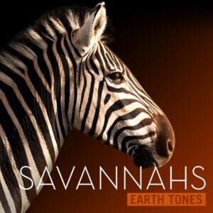 Earth Tones Savannahs