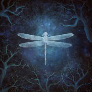 Odonata 20th Anniversary Edition