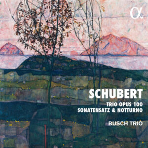 Schubert Trio Opus 100, Sonatensatz & Notturno