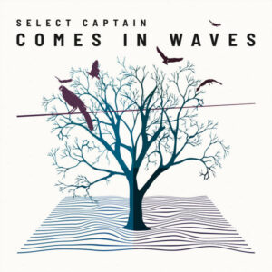 Comes in Waves