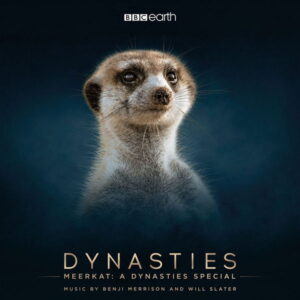 Meerkat a Dynasties Special