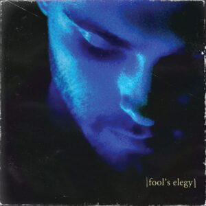 fool's elegy