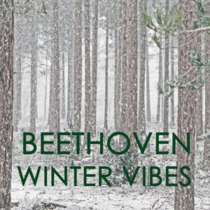 Beethoven Winter Vibes