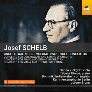 Schelb Orchestral Music Vol. 2