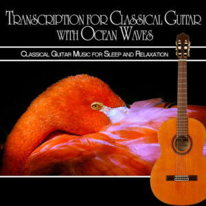 Transcription for Classical Guitar with Ocean Waves