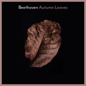 Beethoven Autumn Leaves