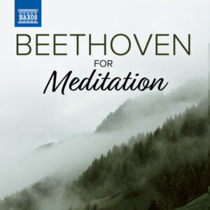 Beethoven For Meditation