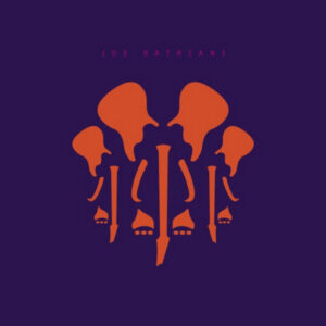 The Elephants of Mars