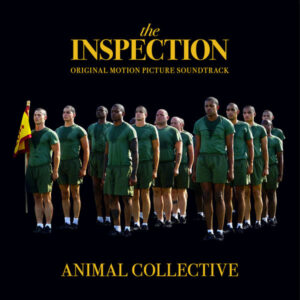 The Inspection
