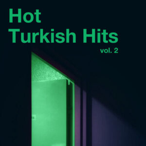 Hot Turkish Hits vol. 2