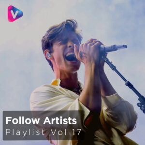 Follow Artists Vol 17