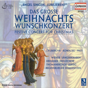 Christmas Festive Concert