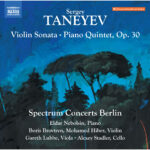 Violin Sonata in A Minor: I. Allegro