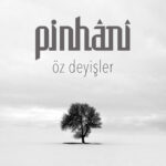 Bir Güzele Bağlandım