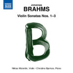 Violin Sonata No. 1 in G Major, Op. 78 "Regen": I. Vivace ma non troppo