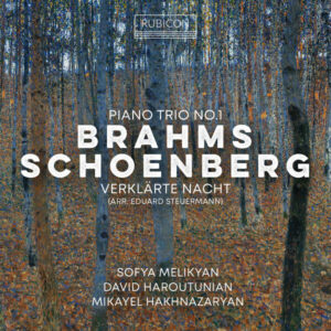Brahms Piano Trio No. 1