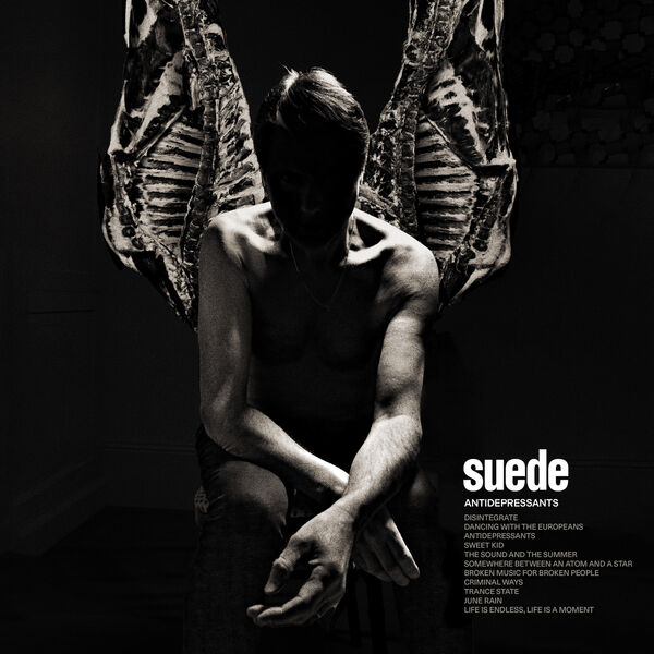 فول آلبوم گروه سوئد (Suede) ؛ پیشگامان سبک بریتپاپ - تصویر 3