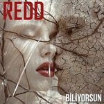 Biliyorsun