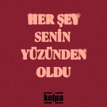 Her Şey Senin Yüzünden Oldu