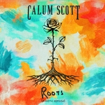 Roots - Acoustic Version