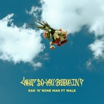 What Do You Believe In? (feat. Wale)