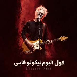 نیکولو فابی (Niccolò Fabi)
