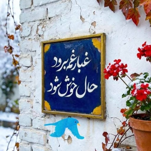 Mojgan1405
